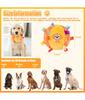 Dog Interactive Sound-Making Ball Toys With Labels, Soft-Filled Puppy Toys, Built-In Bells, Dog Chewing Toys