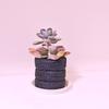1PC Tire Shaped Multifunctional Pen Holder For Desk Office Supplies Organizer Makeup Brush Storage Bucket Home Desktop