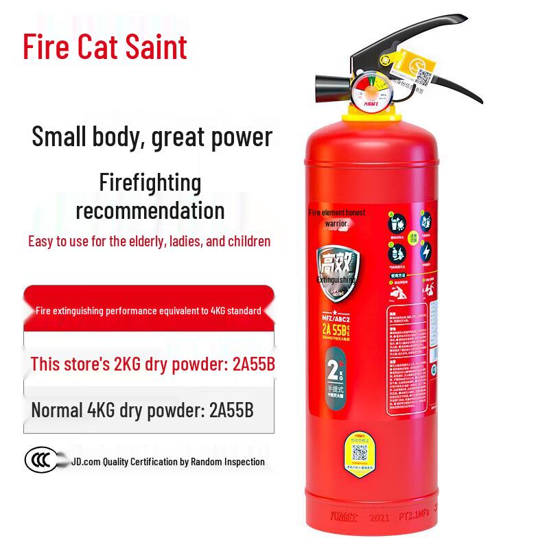 Flame Warrior 2kg Handheld Dry Powder Fire Extinguisher