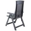 vidaXL 2 Pieces Adjustable Folding Chairs Made of Plastic, Anthracite