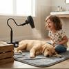 Aluminum Alloy Grooming Stand Stable 360 Degree Adjustable Pet Dryer Clamp Mount Black Gooseneck Dual‑Use Dryer Support