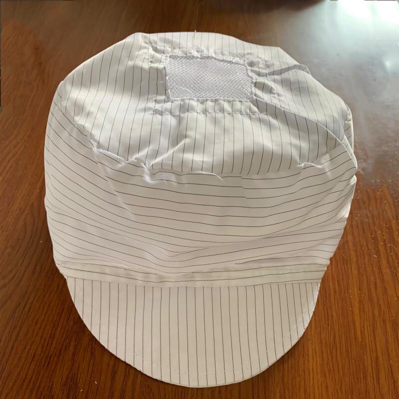 Anti-static Dustproof Work Cap
