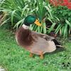 Ornamenti da Giardino per Cortile