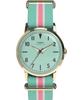 Merlin Uhr Quarz 30M Wasserdicht Acryl Grünes Zifferblatt TW2Y49700 Unisex [TIMEX] [Authentisch]