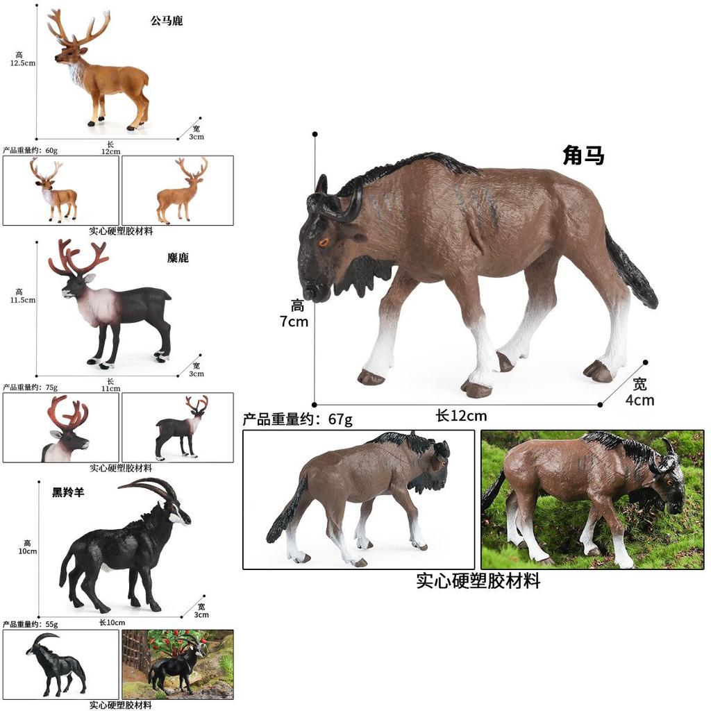 Wild Animal Antelope Elk Horned Horse Model Ornament For Learning