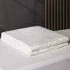 Mercury Home Textiles Wild Tussah Silk Antibacterial Quilt