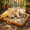 Breathable Pet Cooling Mat Fish Shaped Pillow Cat Sleeping Pad Comfortable Dog Floor Mat  Crate Mat