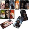 Corgi Dachshund Dog Phone Cover for Samsung Galaxy S25 S24 S22 S23 FE Ultra Plus A56 A05 A06 A15 A16 A55 S7 Edge Case