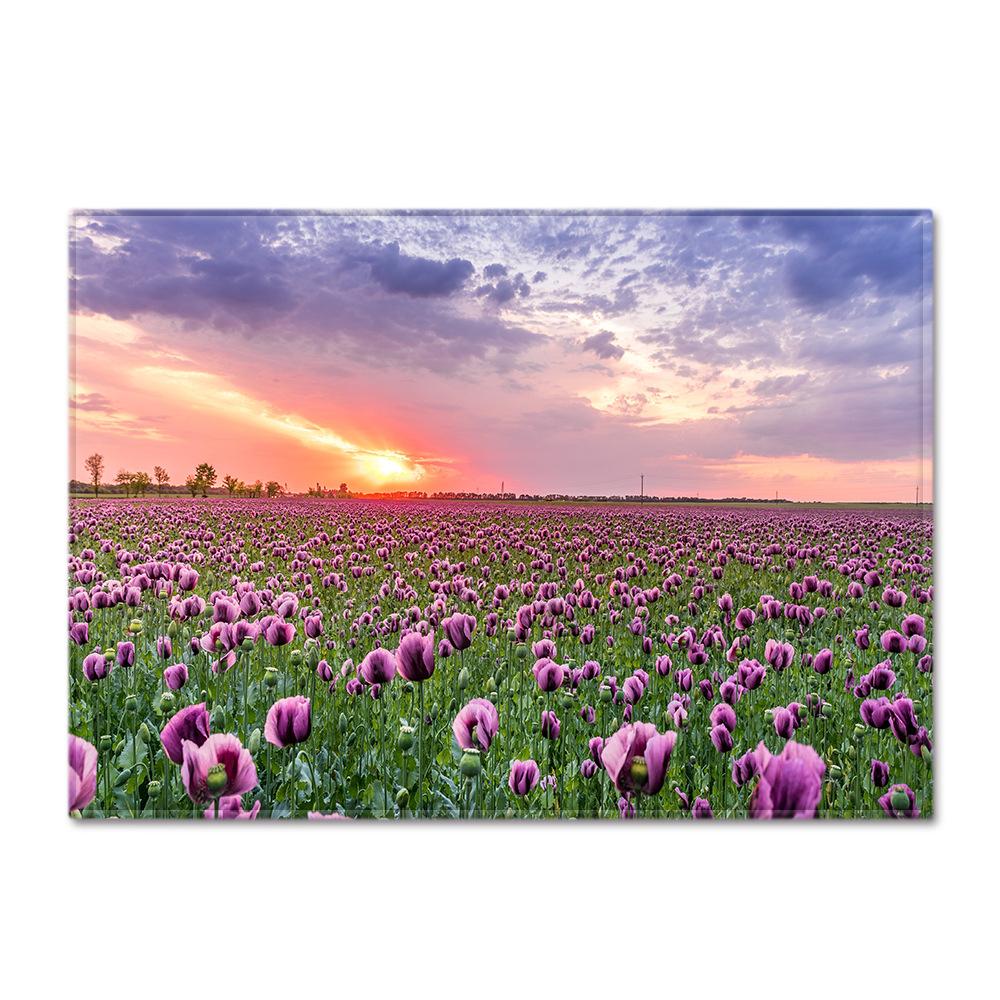 Scenic Carpet Feather Wind Bedroom Floor Mat