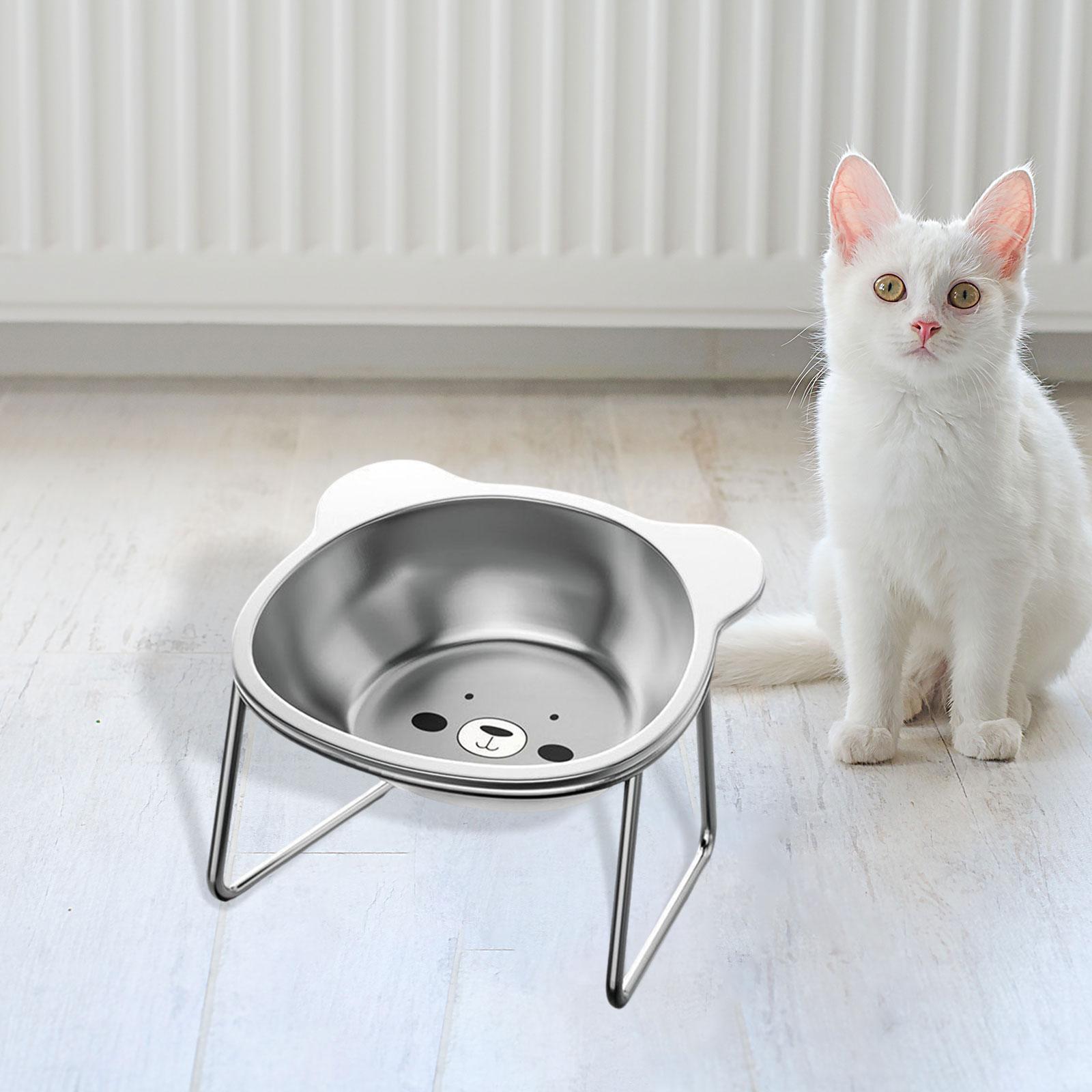 Raised Cat Bowl Pet Feeding Dish for Indoor Cats Small Medium Dogs Puppy