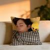 Felix Cushion Cover Cozy Velvet Throw PillowSoft Warm Cushion For Sofa  Bed