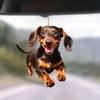 Accesorii pentru interiorul mașinii – Jucării auto şi decorațiuni