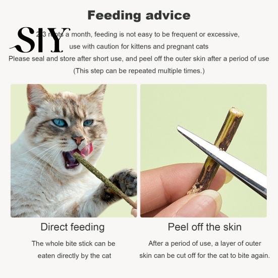 Chewable Cat Dental Stick Chew Toy Natural Vine Sticks Health Molar Catnip Treat Toys Teeth Cleaning for Indoor Kittens Interactive Playtime