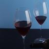 ZISIZ All-Purpose Wine Glass