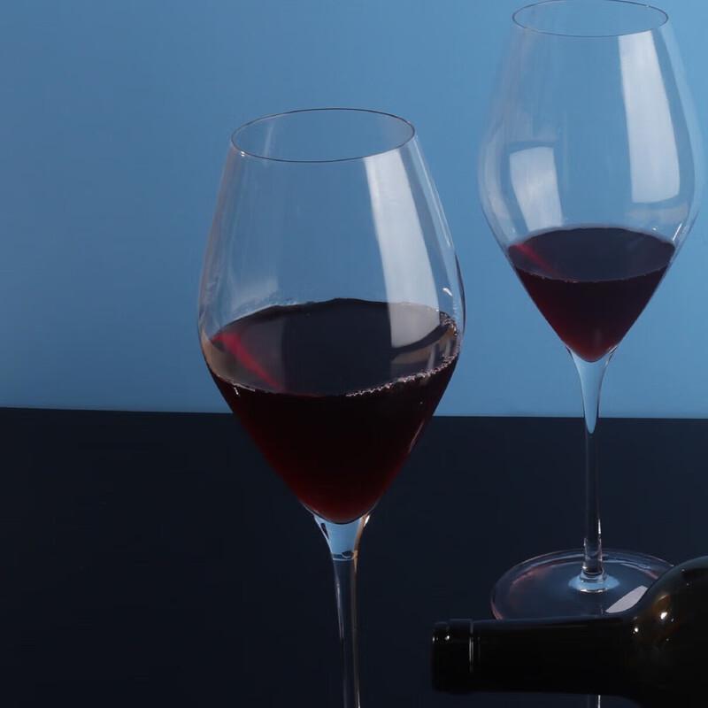 ZISIZ All-Purpose Wine Glass