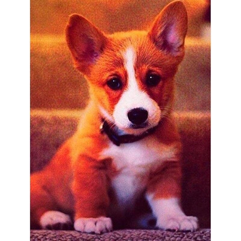 

Полный 5D Алмазная картина Милая собака DIY Алмазная вышивка Алмазная мозаика Наборы для вышивки крестом Домашний декор Подарок Square 20x30cm