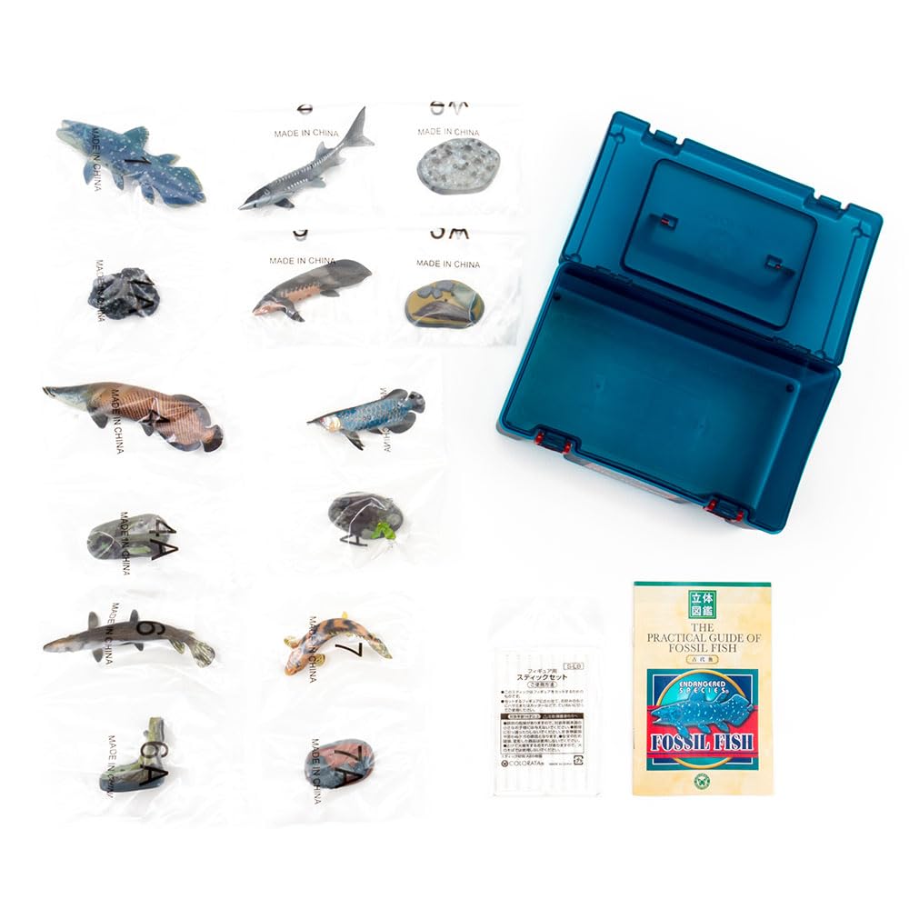Carolata Ancient Fish Figure 3D Encyclopedia Creatures 7 Species With Realistic Figure Box Educational Toy Birthday Present Gift Sanitation Law Figure