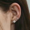 [Silver925] Blenheim Petit Earrings