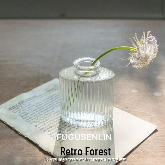 Small French Retro Glass Vase for Flowers and Hydroponics