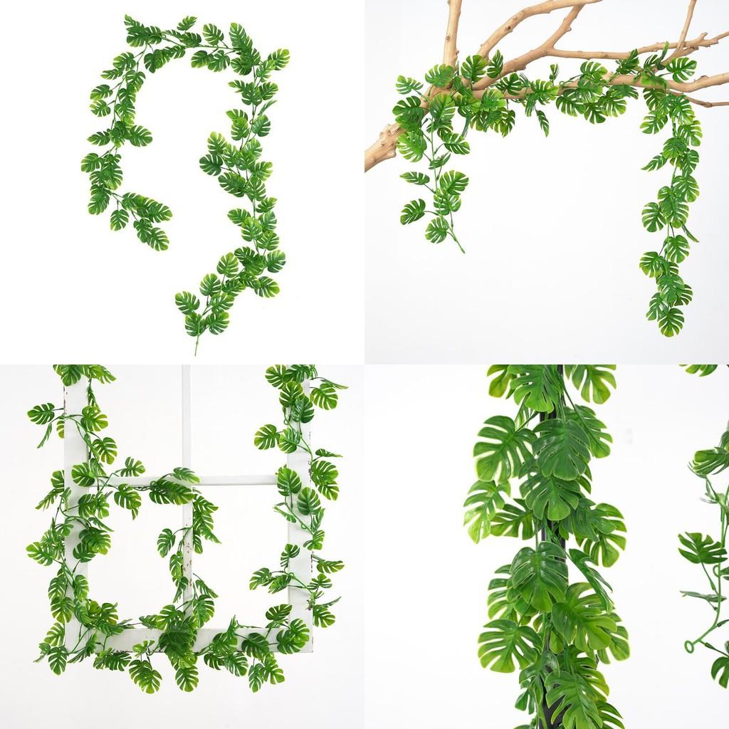 Plant Artificial Monstera Deliciosa Liebm Vines Wall For Indoor Decoration