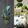 6pcs Modern Plastic Hanging Planter Balls with Drainage Holes, Round Indoor - Outdoor Gardening Accessories for Succulents