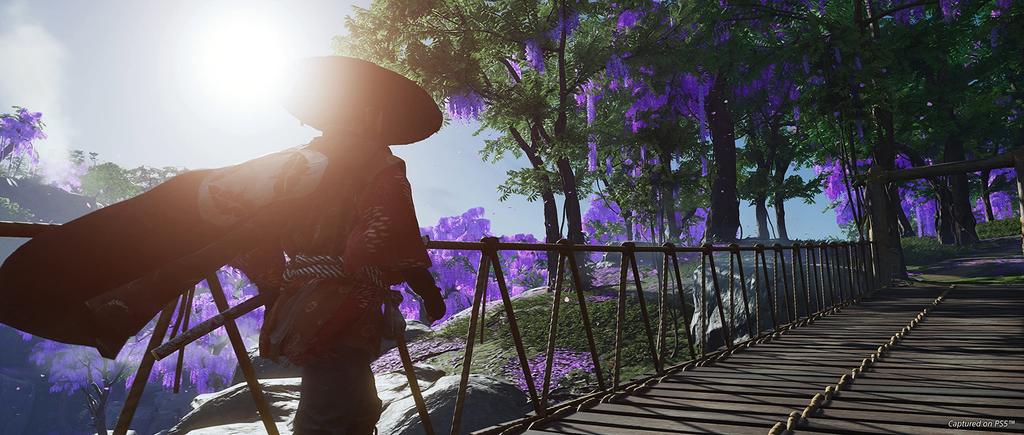Ghost of Tsushima Cut North PS5 Director's (Import version America) -
