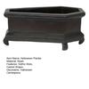 Halloween Casket Planter Gothic Plant Pot Resin Casket Flower Pot for Succulents Home Indoor Shelf Windowsill Decoration