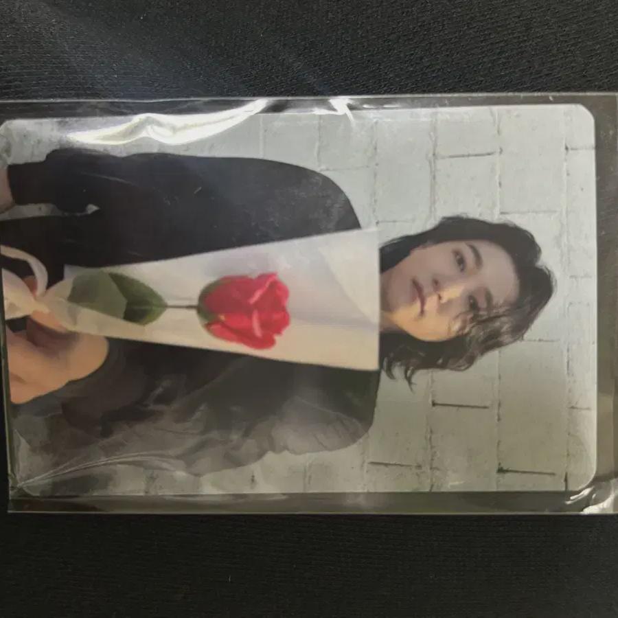 

Day6 Sungjin Goycon Photocard