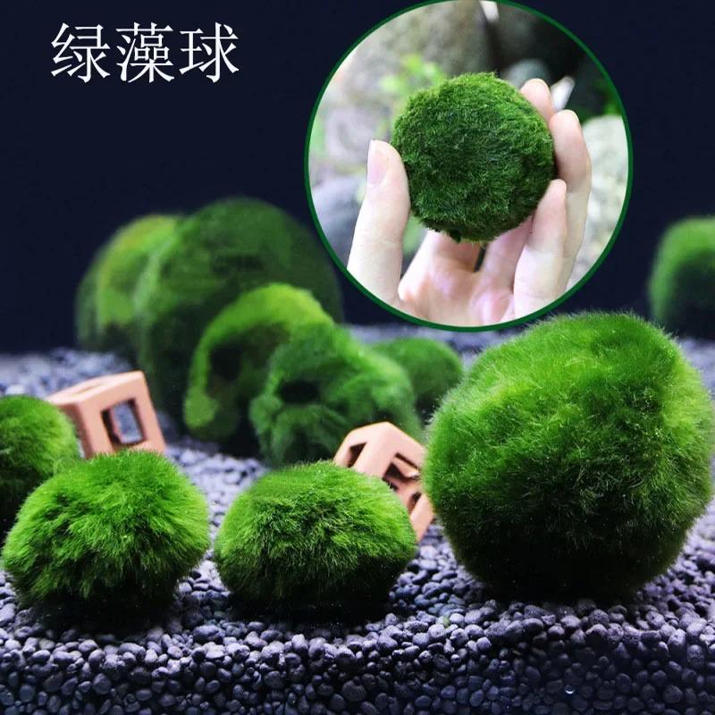 Live Aquarium Plant Algae Fish Shrimp Tank Ornament Simulation Green Algae Balls Artificial Plant Amagi
