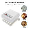 110-220V 16 Eggs Hatching Mini Brooder Small Chicken Bird Egg Hatchers Incubator for Quail Parrot Duck Poultry Hatchery Machine