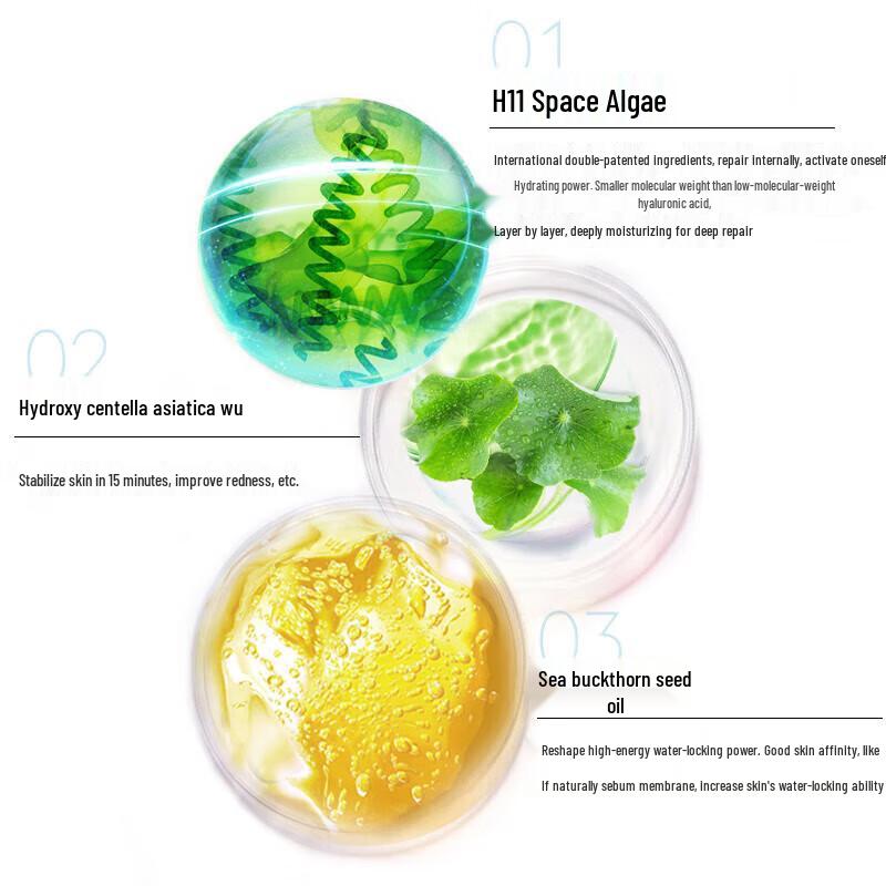 Water Secret Desert Oasis High Moisturizing Repair Cream 50g