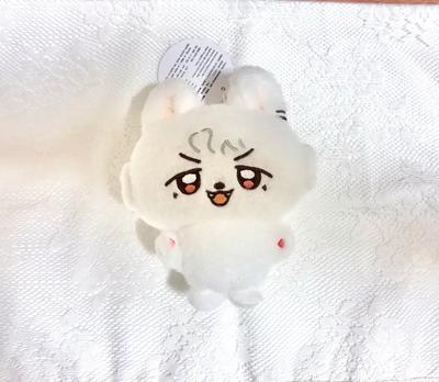 PLAVE Eunho/Eunho Doll/Eunho Puffyho