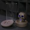 Windproof Lampshade LED Skull Ceramics Incenses Burners Waterfall Backflow Incenses Cones Holders for Home Decoration