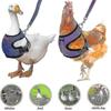 Vögel – Vogelbekleidung