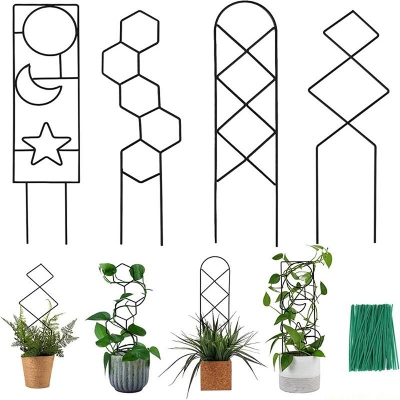 QX2E Robusto Grigliato da Giardino Supporto per Steli di Piante Rampicanti Paletto Supporto Struttura Rastrelliere per Piante da Interno in Miniatura Fiori Verdure
