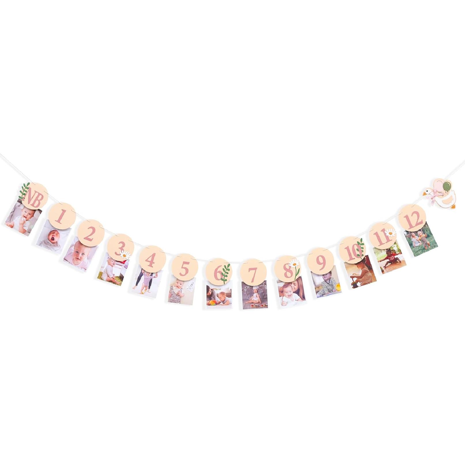 Pink Goose 1 to 12 Months Photo Banner - Little Princess Sweet One Birthday Decorations,Newborn First Year Photos Display,Funny Goose Monthly Photo
