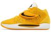Kd 14 Tb University Gold Yellow DM5040-702