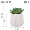 Small, Wavy Cup-Shaped Simulated Succulent Plant Potted Plant, Nordic Office Furniture Fresh Decoration
