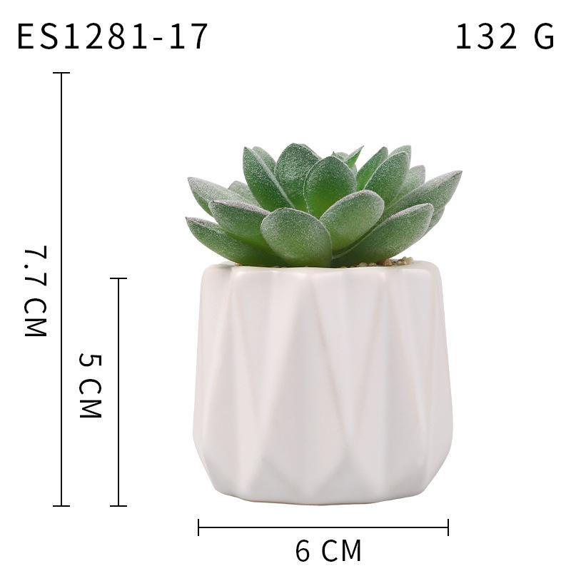 Small, Wavy Cup-Shaped Simulated Succulent Plant Potted Plant, Nordic Office Furniture Fresh Decoration