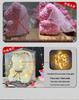 Eternal Rose Bear: Valentine's, Mother's Day & Birthday Gift, Floral Bouquet Ornament for Girlfriend.