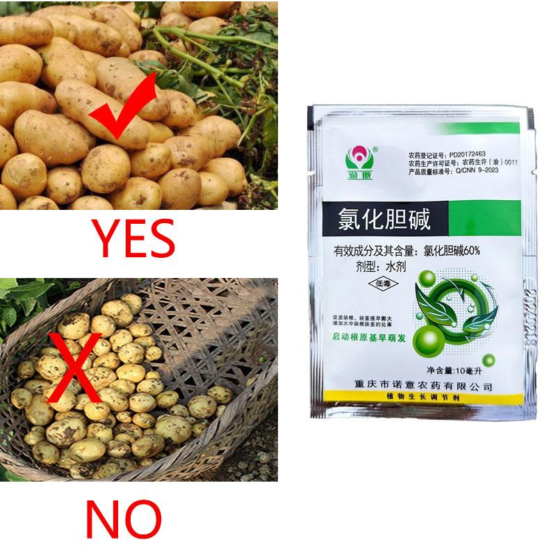 1/5bag Potato Grower Crop Growth Agent Potato Root Enlargement