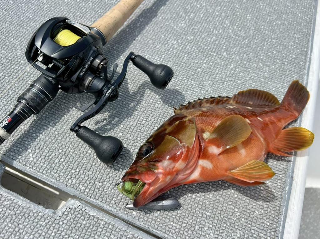 Gomexus CH100 Reel Handle Daiwa Shimano Bait Reel Compatible Double Handle Seaborg Saltiga Ocean Conquest Double Axis Reel Handle Replacement 100mm