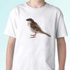 Sparrow White Kids Boys T-Shirt Weaverbird Tee Bird Top Finch Gift S S Kids Sizes