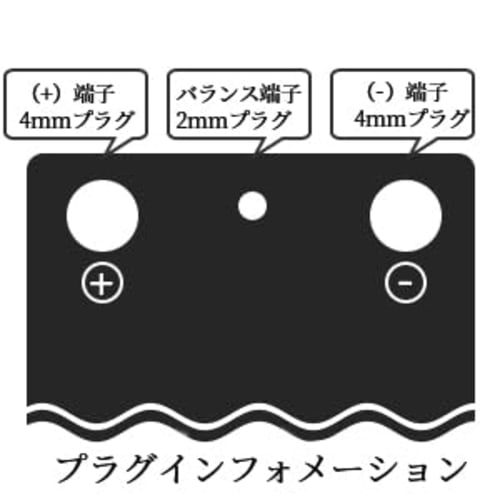 Zeee 7.4V 80C 5200mAh 2S LiPo Battery, RC Battery, High Capacity Battery for RC Cars, RC Trucks, Drones, etc. (4mm Gold Plug with T-Plug) (2-Pack)