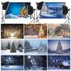 Winter Wonderland Themed Background,Christmas Photography Backdrop,for Parties and Holiday Photography Backdrops,Photo Studio