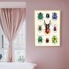 HD-Druck, Insektenkäferrassen-Sammlung, Poster und Druck, Leinwandgemälde, Retro-Wandkunst für Wohnzimmer, Heimdekoration, Cuadros