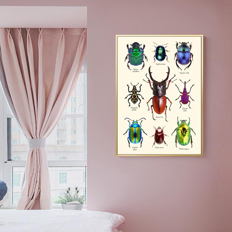 HD-Druck, Insektenkäferrassen-Sammlung, Poster und Druck, Leinwandgemälde, Retro-Wandkunst für Wohnzimmer, Heimdekoration, Cuadros