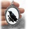 Black Bird Crow Photo Clavicle Chain Jewellery for Women Girls Rope Chain Choker