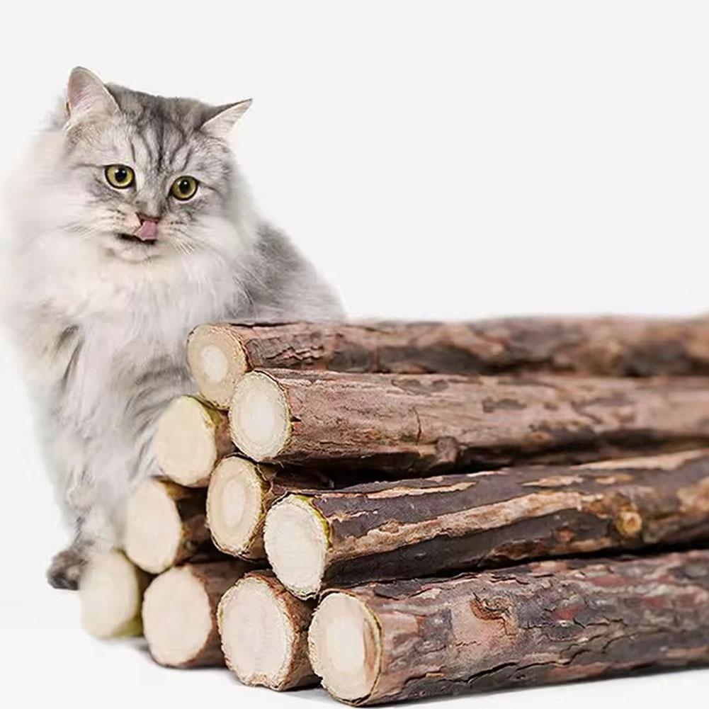 5Pcs Catnip Sticks Pet Cat Molar Toys Natural Wood Polygonum Kitten Teeth Cleaning Chew Toy Cat Snacks Sticks Pet Supplies