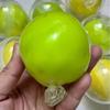 Crunch Sound Crunch Squishy Sensory Fidget Crispy Squeeze Toy Wax Coating Squishy  Desktop Gift